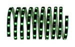 13564