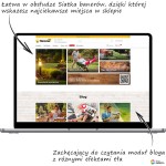 hammer-pro-sf-pc-blog.jpg