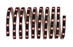 8304