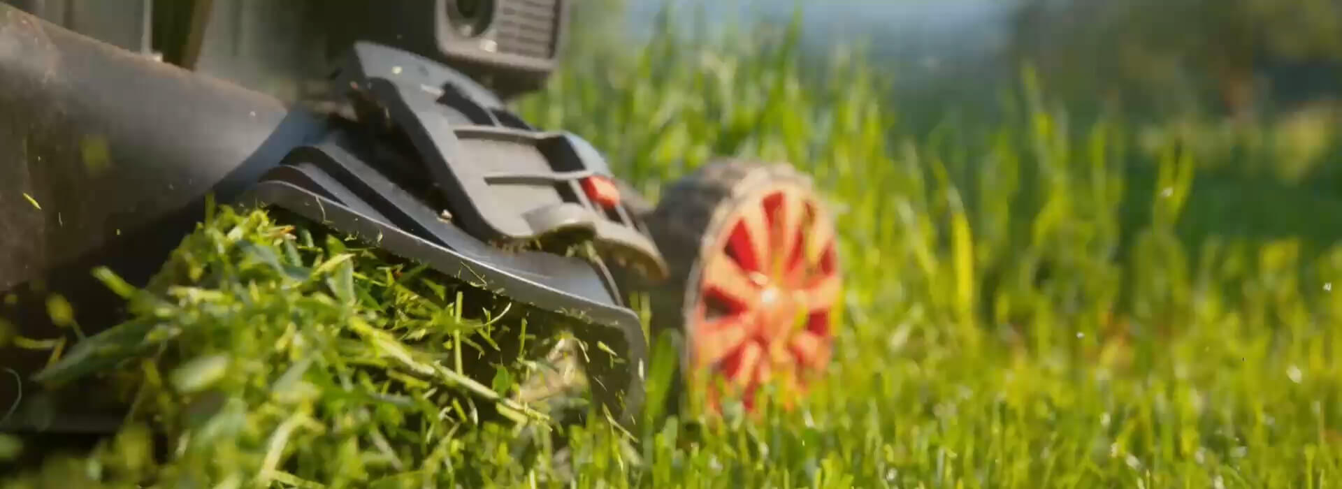 Zmień ogród w swoją oazę spokoju